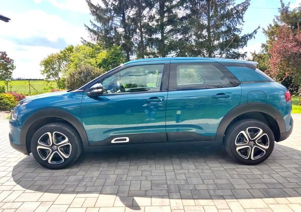 Citroen C4 Cactus cena 47900 przebieg: 77226, rok produkcji 2018 z Grybów małe 326